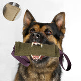 Durable,Training,Chewing,Handles,Chewing,Trainer