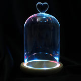 Clear,Glass,Display,Flower,Cloche,Wooden,Light,Decorations