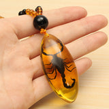 Unique,Natural,Insects,Amber,Scorpion,Inclusion,Pendant,Necklace,Gemstone,Ornament,Crafts,Gifts,Decorations