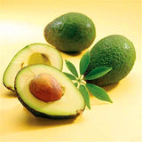 Egrow,Avocado,Seeds,Persea,Americana,Healthy,Fruit,Salad