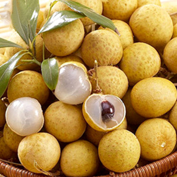 Egrow,Longan,Seeds,DRAGON'S,Exotic,LONGAN,Dimocarpus,Sweet,Fruit,Seeds