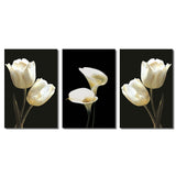 Miico,Painted,Three,Combination,Decorative,Paintings,Botanic,White,Flower,Decoration