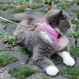 Adjustable,Leash,Harness,Walking,Harness,Apparel