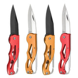 XANES,100mm,Multifunction,Portable,Pocket,Survival,Folding,Knife,Chain,Knife,Camping,Fishing,Tools