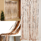 Fringe,Curtain,Party,Decoration,Party,Backdrop