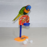 Birds,Parakeet,Balls,Parrot,Birdie,Basketball