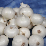 Egrow,White,Onion,Seeds,Kitchen,Seasoner,Organic,Vegetable,Garden,Plants