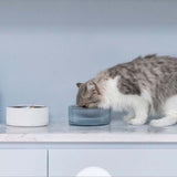 FURRYTAIL,Grade,Antibacterial,Stainless,Steel,Detachable
