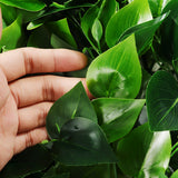 Green,Plant,Simulation,Plant,Decoration,Living,Interior,Background