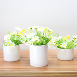 Ceramic,Flower,Plant,Succulent,Indoor,Garden,Display,Stand,Planter,Holder,Decor