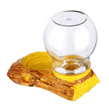 Automatic,Water,Feeder,Drinking,Reptile,Amphibians,Tortoise,Basin,Lizard,Drink,Waterer