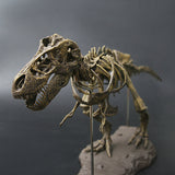 Jurassic,Dinosaurs,Tyrannosaurus,Skeleton,Animal,Model