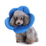 Protective,Protection,Collar