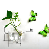 Flower,Plant,Stand,Hanging,Hydroponic,Transparent,Clear,Glass,Round,Terrarium,Container,Wedding,Garden,Decorations