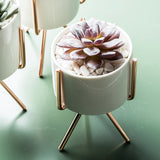 Display,Ceramic,Landscape,Shelf,Stand,Decor