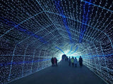 KCASA,Lights,String,Lights,Flashing,Party,Christmas,Decorations,Light,String,10Meters,100Lights