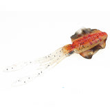 ZANLURE,Squid,Luminous,Fishing,Popper,Topwater,Crankbait,Artificial