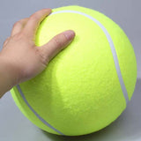 Squishy,Giant,Tennis,Chewing,Sport,Outdoor,Throw,Fetch