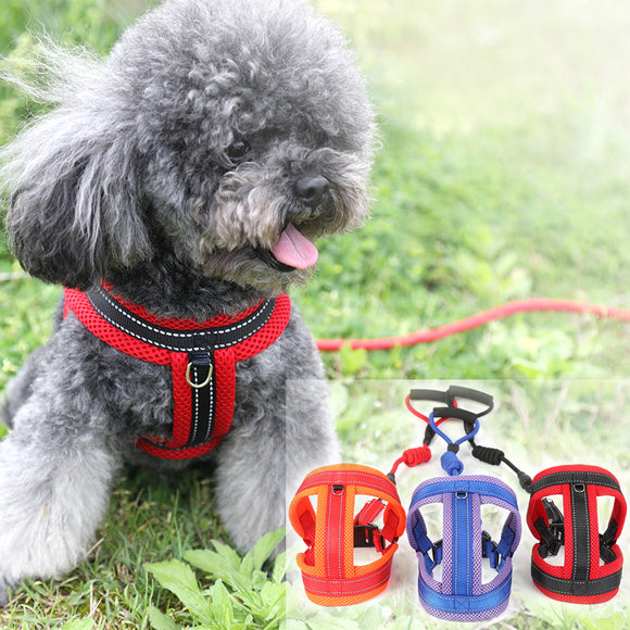 Breathable,Comfortable,Strap,Traction,Adjustable,Buckle,Chain