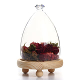 Glass,Clothe,Display,Storage,Wooden,Flower,Preservation