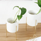 Ceramic,Flower,Plant,Succulent,Indoor,Garden,Display,Stand,Planter,Holder,Decor