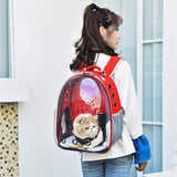 Colors,Breathable,Transparent,Travel,Backpack,Carrier,Shoulder