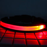 Smart,Solar,Power,Charging,Electronic,Flashing,Light,Nylon,Collar,Different