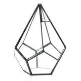 Succulent,Plant,Triangle,Greenhouse,Glass,Terrarium,Micro,Landscape,Glass,Bottle