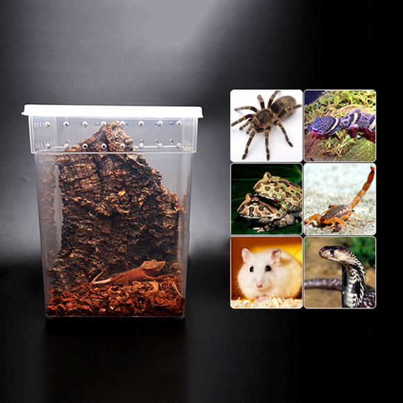 Transparent,Plastic,Display,Insect,Reptile,Breeding,Feeding,Turtle,20*20*25