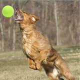 Giant,Puppy,Tennis,Thrower,Chucker,Launcher