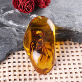 Beautiful,Amber,Hornet,Petrifaction,Insects,Manual,Polishing,Insect,Specimens,Decorations