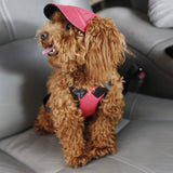 Summer,Print,Baseball,Small,Outdoor,Baseball,Grooming,Accessories