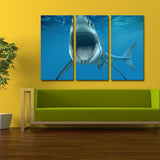 Miico,Painted,Three,Combination,Decorative,Paintings,White,Shark,Decoration