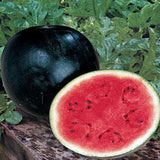 Egrow,Watermelon,Seeds,Giant,Black,Watermelon,Bonsai,Fruit,Plant,Sweet,Juicy,Water,Melon,Garden,Bonsai