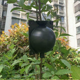 Plant,Propagation,Grafting,Garden,Altitude,Pressure,Propagation,Rooting,Propagator,Cutting,Grafting,Rooting