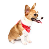 Imperial,Crown,Adjustable,Collars,Decoratoive,Towel,Drcoration
