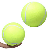 Squishy,Giant,Tennis,Chewing,Sport,Outdoor,Throw,Fetch