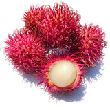 Egrow,Rambutan,Seeds,Fruits,Bonsai,Plants,Garden,Ornamental,Trees