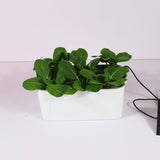Household,Holes,Hydroponic,Vegetable,Seedling,Soilless,Cultivation,Equipment,Automatic,Artifact,Flowerpot