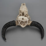 Halloween,Skull,Resin,Skull,Sculpture,Statue,Decorations,Horns,Mount