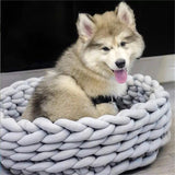 Knitted,Puppy,Pillow,House,House