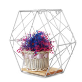 Display,Shelf,Floating,Storage,Organizer