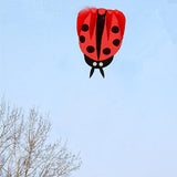 Children,Ladybug,Portable,Outdoor,Funny,Sport