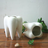 7x10cm,Tooth,Shape,Flower,Succulent,Plant,Storage,Ceramic,Gardening,Potted,Creative,Decor